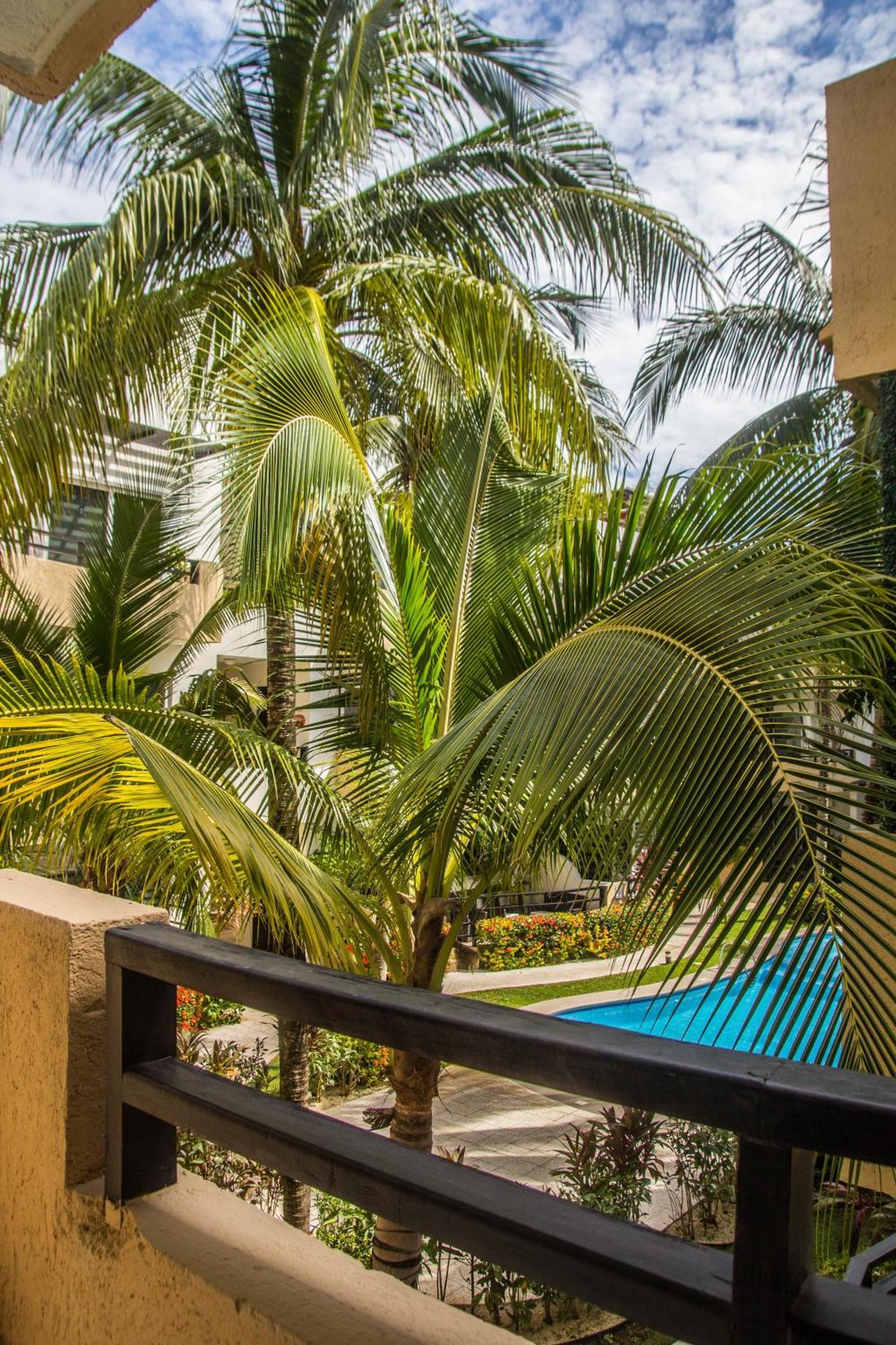 Apartamento Creuza De Mae